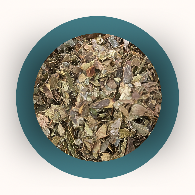 Soursop Leaves