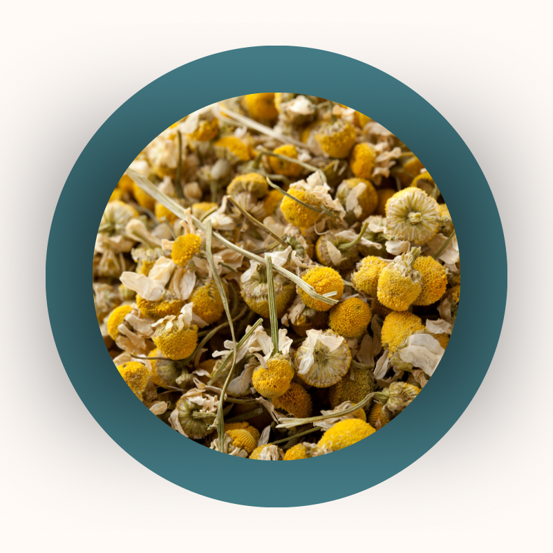Dried Chamomile
